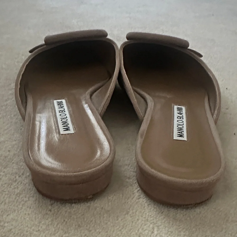 Manolo Blahnik Taupe Suede Pointed Mule with Buckle - Picture 5 of 5